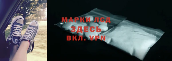 ПСИЛОЦИБИНОВЫЕ ГРИБЫ Верея